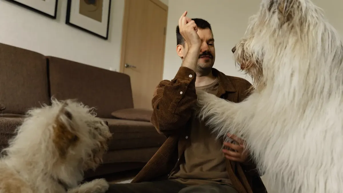 A dog mid-turn on a rug, following a treat lure in a circular motion
