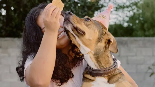 A dog owner kneeling down to reward a dog with a treat during a training session