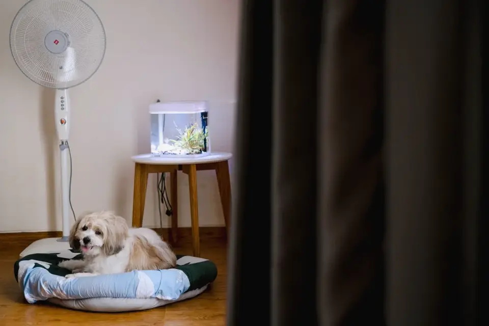 A dog using its nose to search a snuffle mat on a living room floor