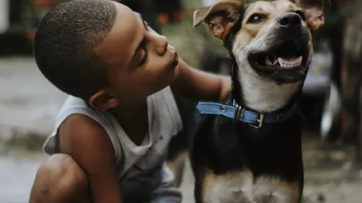 A mixed breed dog sitting attentively in front of its owner during a training session outdoors