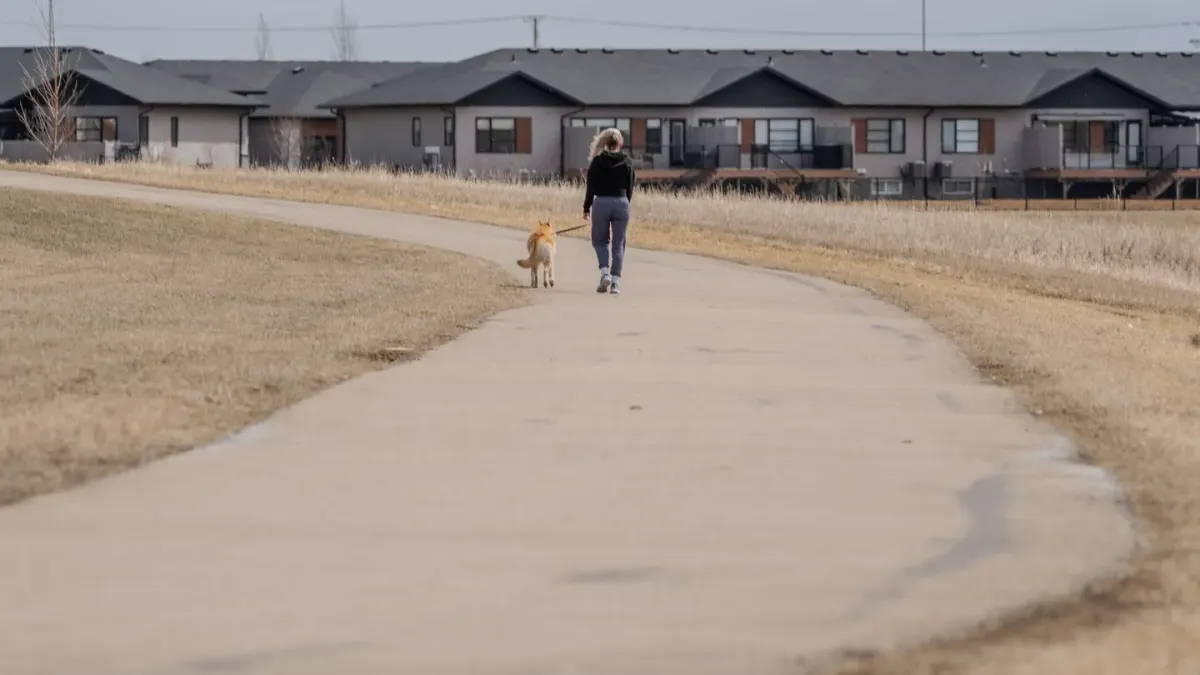 Dog walking with an owner