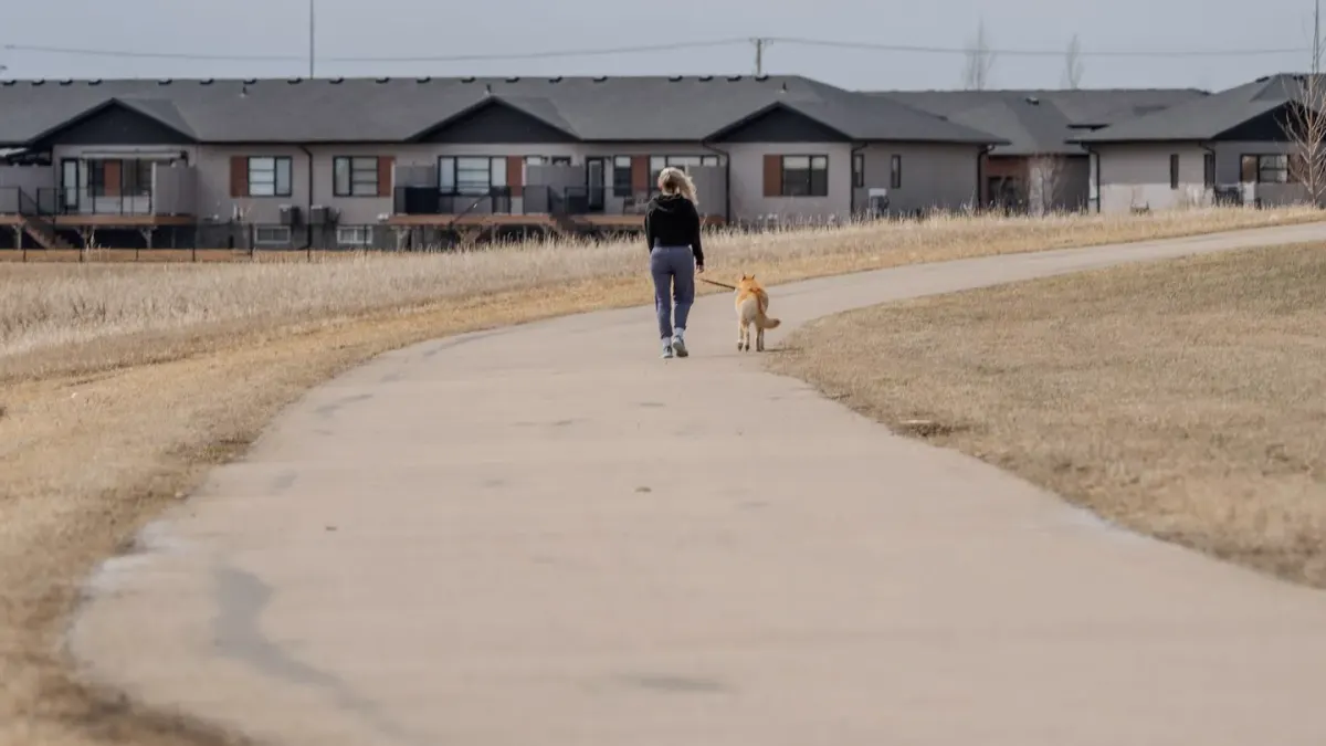 Dog walking with an owner
