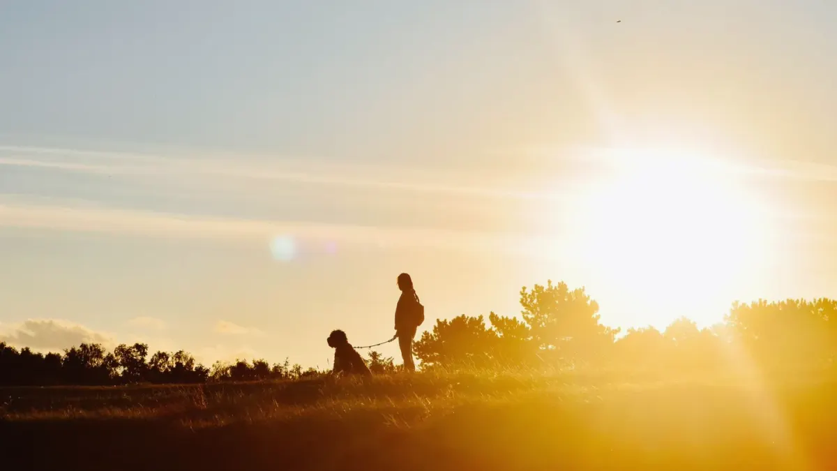 Dog walking with an owner