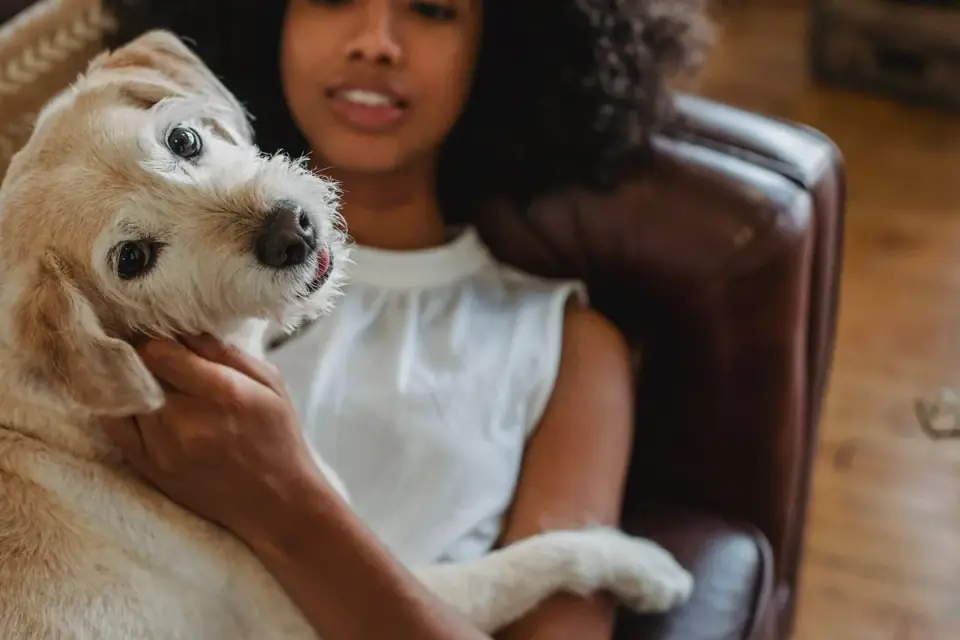 Dog with an owner at home