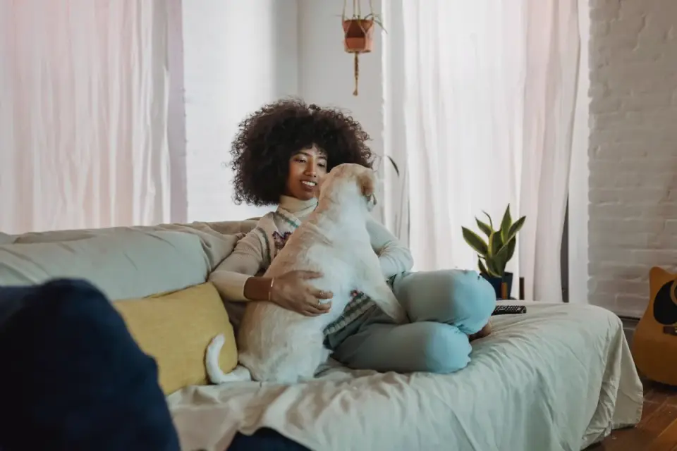 Dog with an owner at home