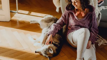 Dog with an owner at home