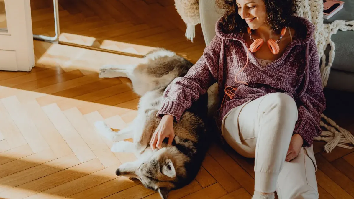 Dog with an owner at home