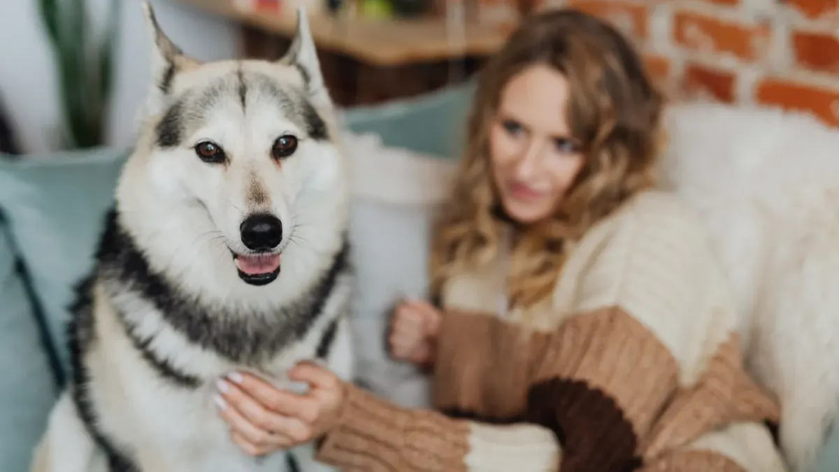 Dog with an owner at home