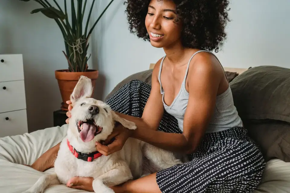Dog with an owner at home