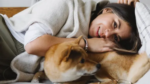 Dog with an owner at home