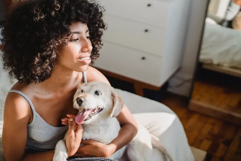 Dog with an owner at home