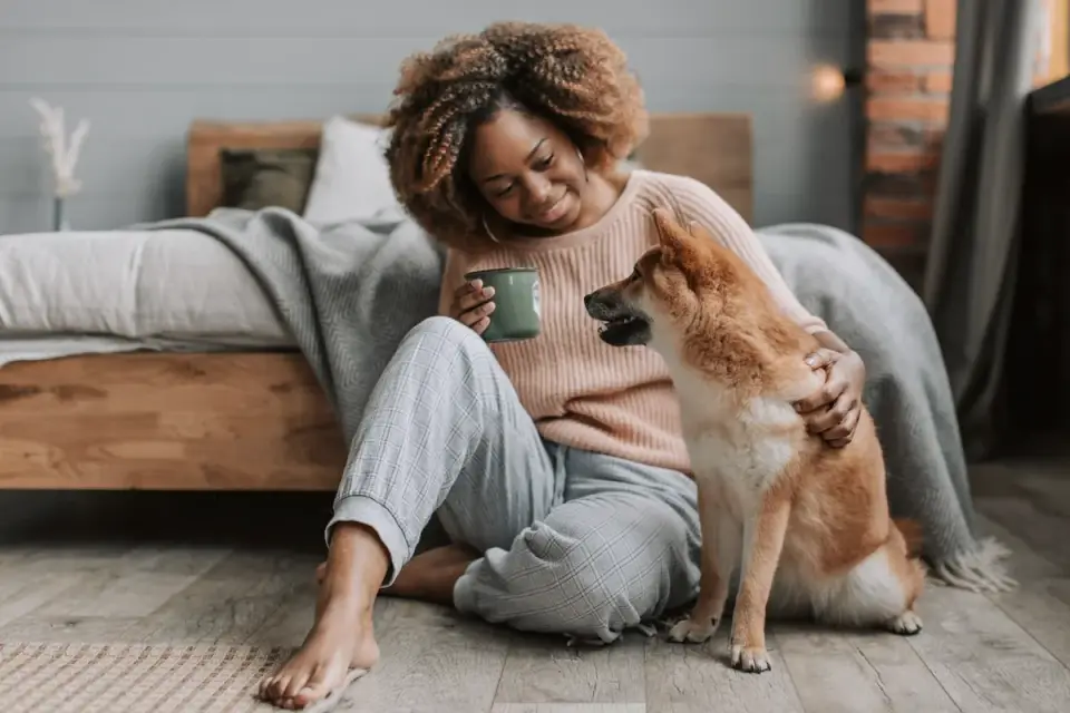 Dog with an owner at home