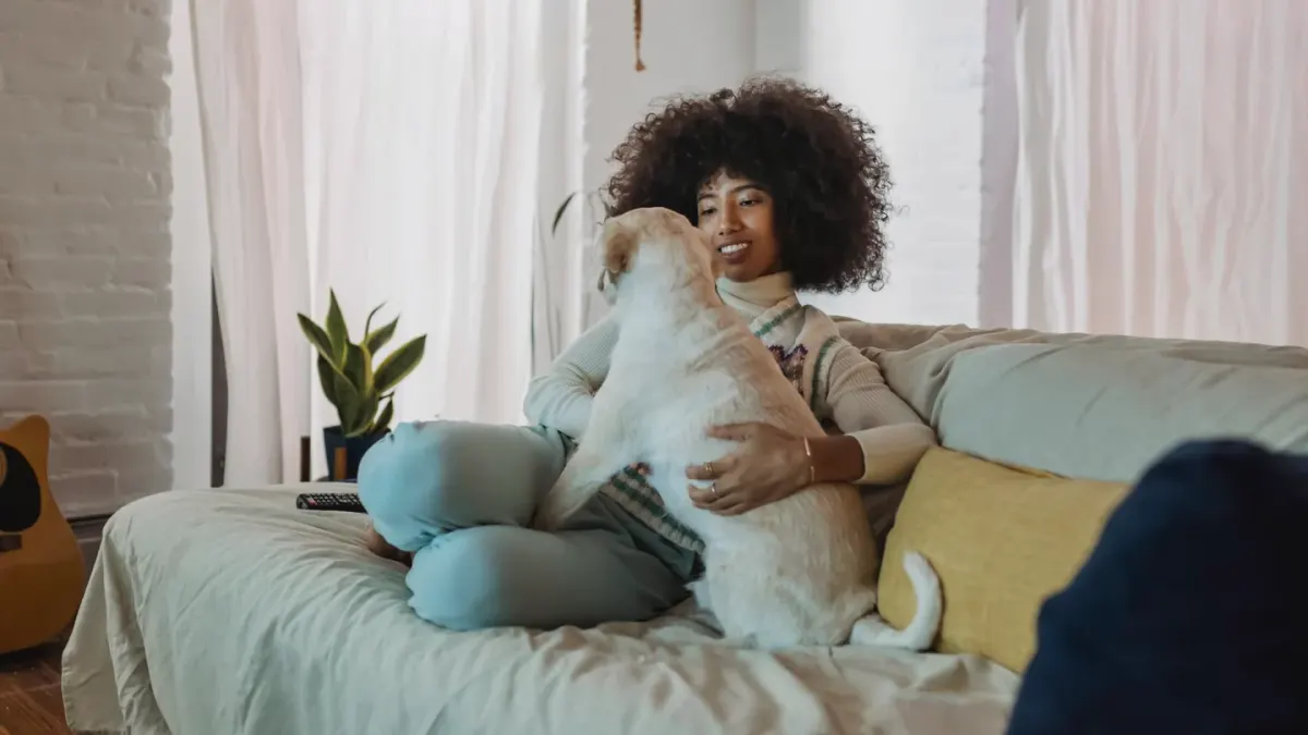 Dog with an owner at home