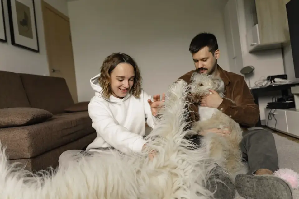 Dog with an owner at home