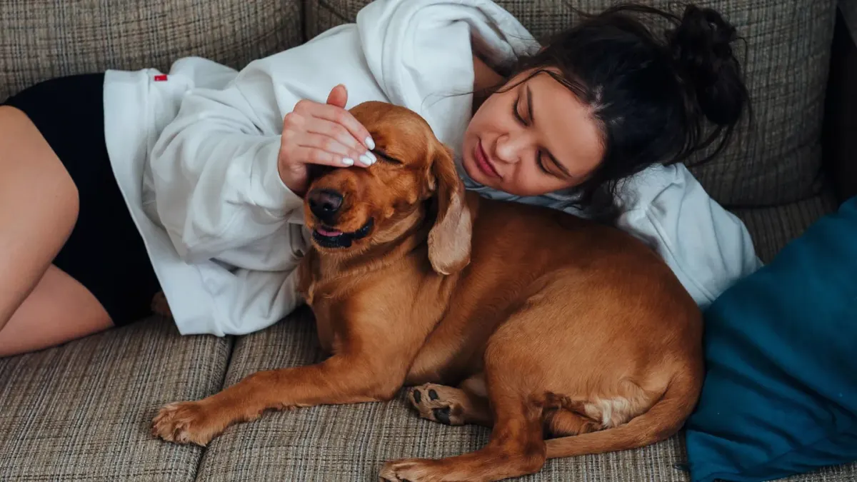 Dog with an owner at home