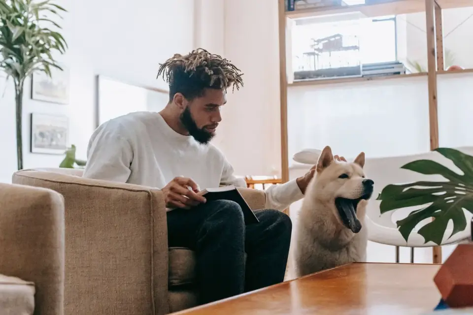Dog with an owner at home