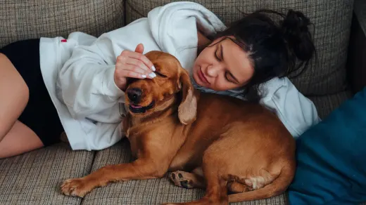 Dog with an owner at home