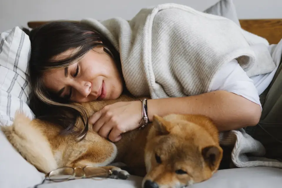 Dog with an owner at home