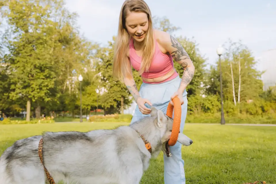 Owner rewarding a dog during an outdoor training session