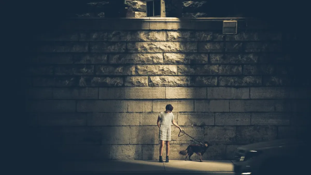 Senior dog walking down a hallway lit by a soft plug-in night light